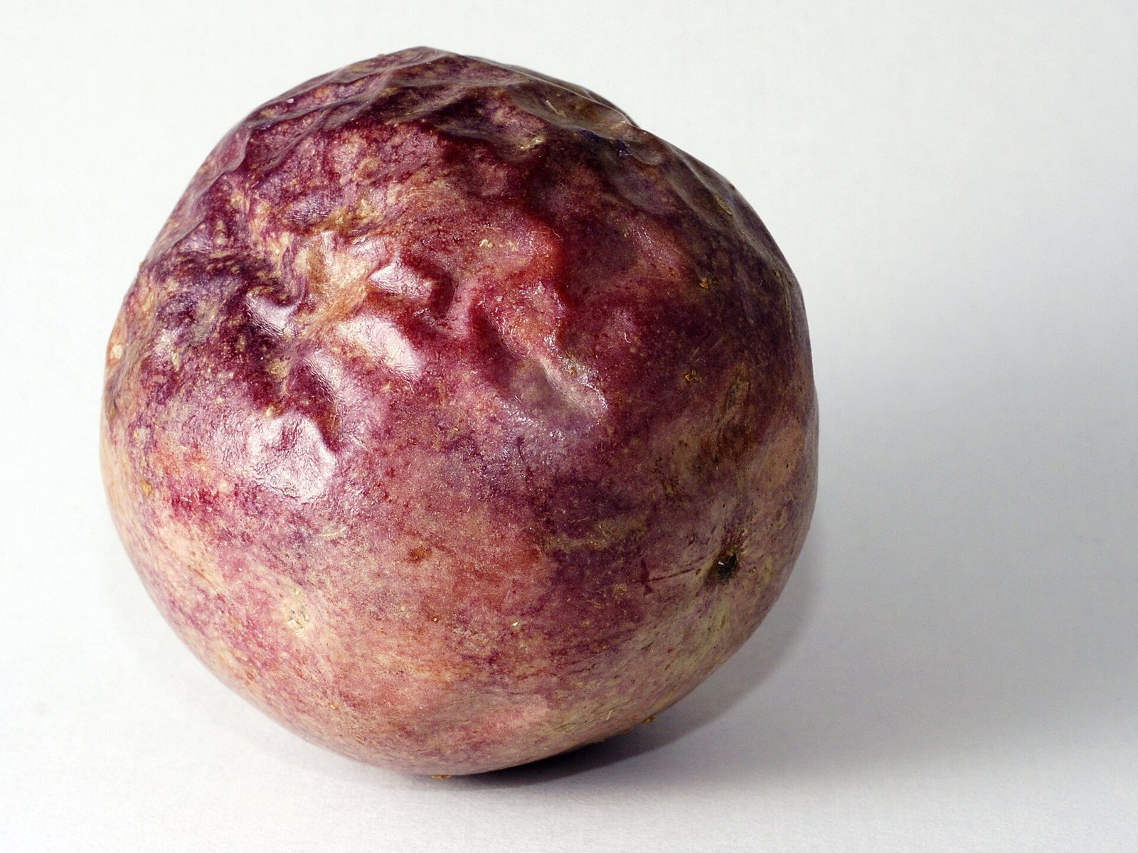 A single ripe purple passion fruit with a dull, slightly wrinkled skin, on a plain white background