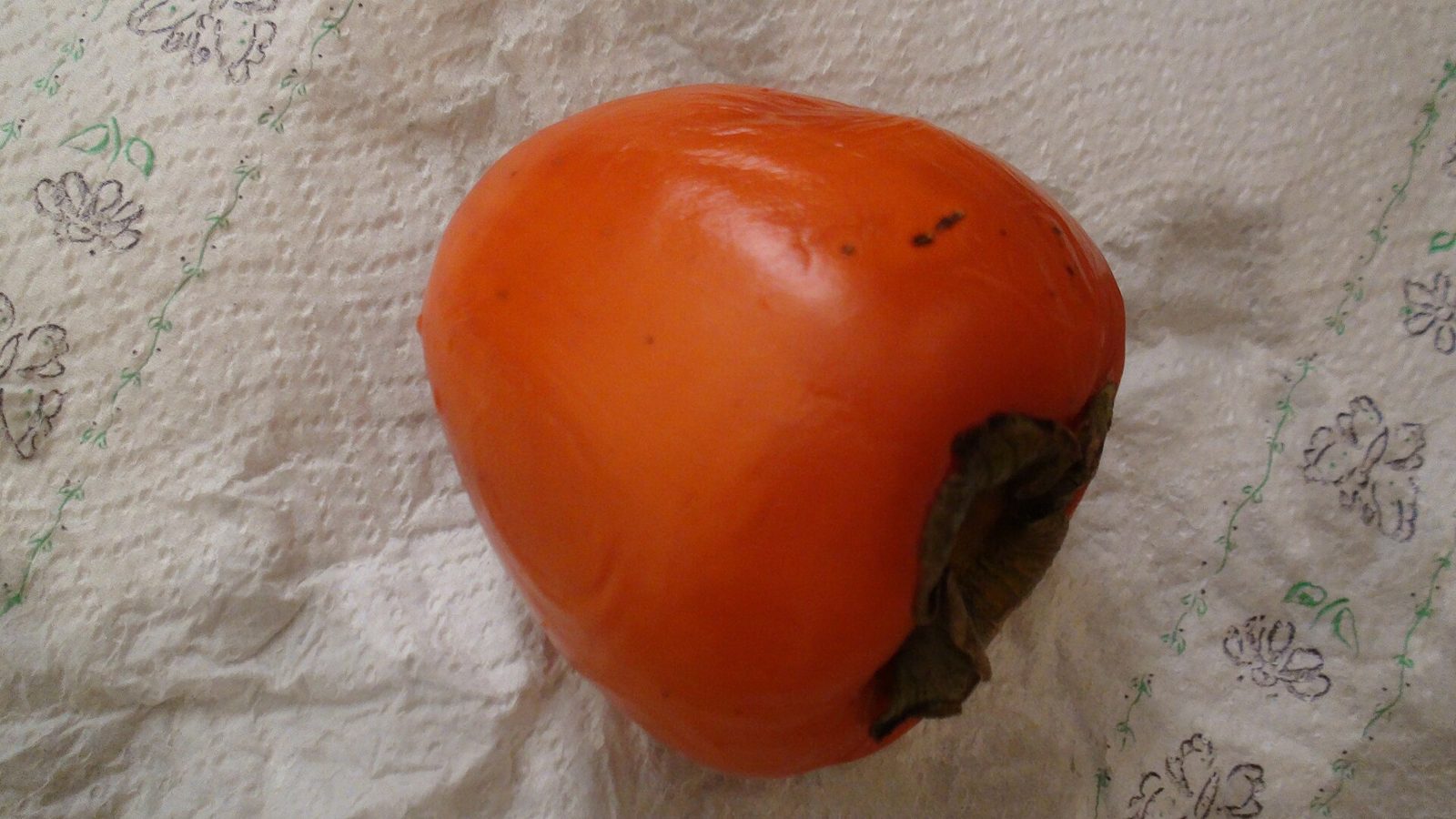 A single glossy deep orange Hachiya persimmon with a pointed, conical shape and a dark dry calyx, resting on a patterned paper towel